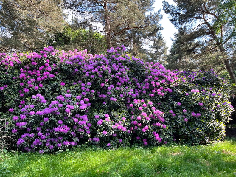 23-06-03 16-37-50 5787